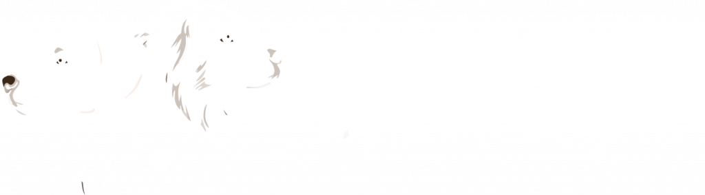 aussiedor logo weiß