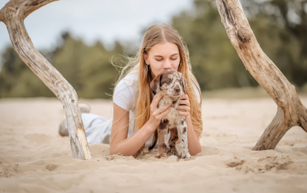 aussiedor of soul dog welpen aufzucht