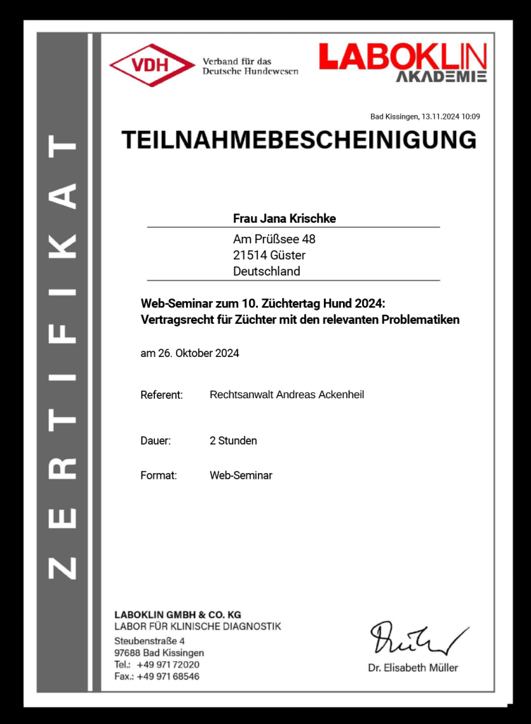 zertifikat 2025